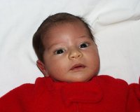 gal06.jpg (3267 bytes)